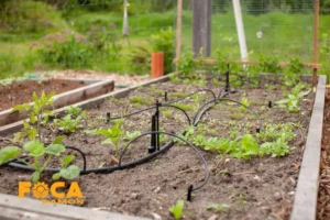 سیستم آبیاری قطره ای و 8 اصل سرویس و نگهداری 1 آبیاری قطره ای
