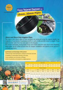 کاتالوگ فوکا تجارت دامون انگلیسی صفحه 1