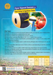 کاتالوگ فوکا تجارت دامون انگلیسی صفحه 4