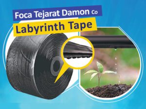 English Labyrinth Tape Banner