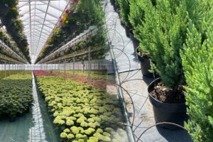 سیستم آبیاری گلخانهای و اجزای اصلی آن 1 تصویر سیستم آبیاری گلخانهای و اجزای اصلی آن 3