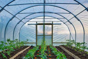 سیستم آبیاری گلخانهای و اجزای اصلی آن 3 تصویر سیستم آبیاری گلخانهای و اجزای اصلی آن 4