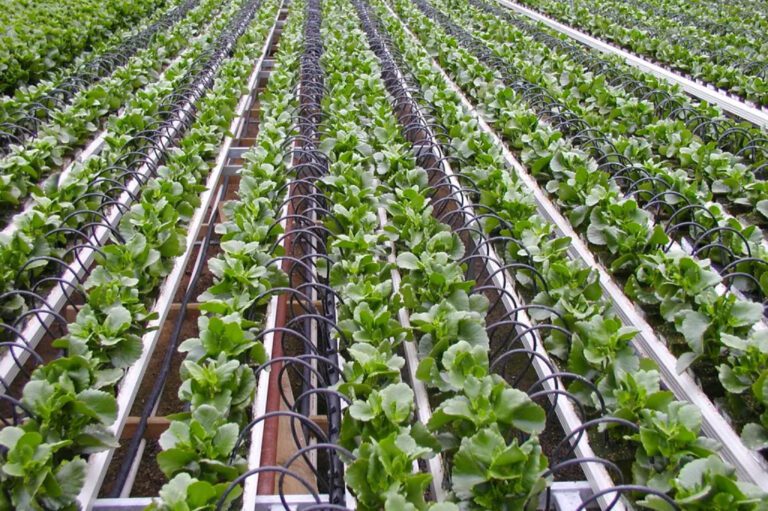 تصویر سیستم آبرسانی و اجزای اصلی آن