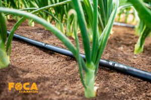 راهنمای خرید تجهیزات آبیاری قطره ای (5 نکته مهم قبل از خرید) 7 drip irrigation equipment buying guide 5