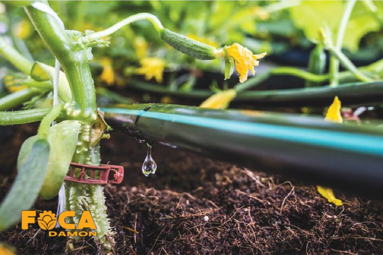 راهنمای خرید تجهیزات آبیاری قطره ای