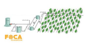 how to install drip irrigation system 2