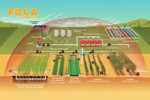 how to install drip irrigation system 4