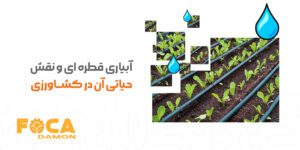 how to install drip irrigation system 7