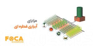 how to install drip irrigation system 8