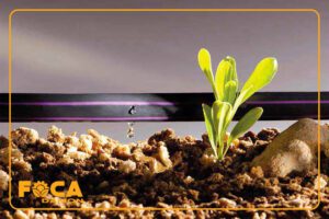introduction to types of irrigation drippers 12