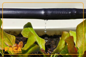 introduction to types of irrigation drippers 14