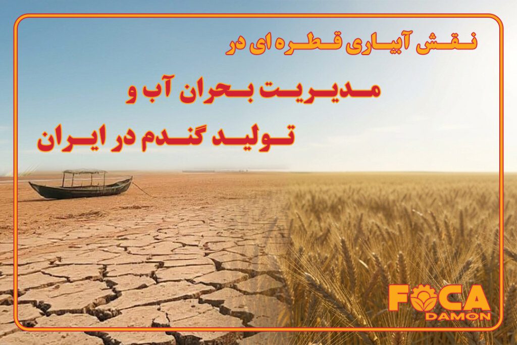 نقش آبیاری قطره‌ای در مدیریت بحران آب و افزایش تولید گندم در ایران