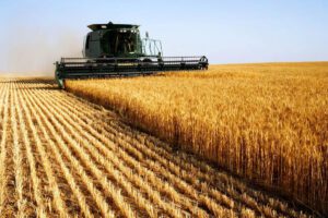 role of drip irrigation in water crisis management7