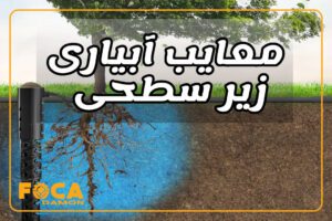 subsurface drip irrigation 1