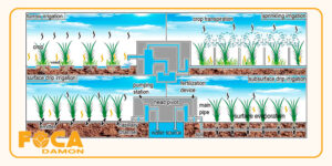 subsurface drip irrigation 12