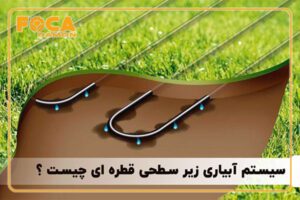 subsurface drip irrigation 2