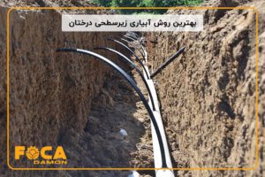 subsurface drip irrigation 5