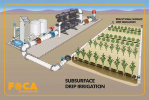 subsurface drip irrigation 7