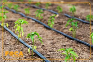 what is drip irrigation tape 11