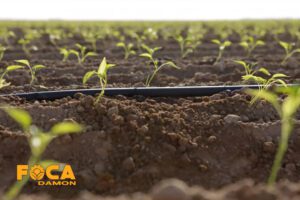 what is middle sewed drip irrigation tape 2