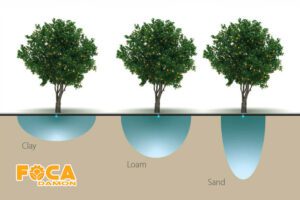 تاثیر جنس خاک روی تعیین فاصله قطره چکان ها در آبیاری قطره ای