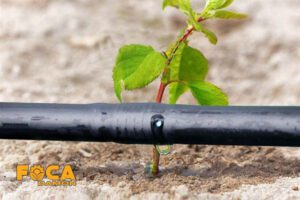 لوله دریپردار 16 و 20 یا لوله قطره چکان دار آبیاری چیست؟ 4 what is 16mm and 20mm irrigation dripper pipe 7