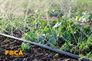 what is an agricultural rain pipe and buying guide 2