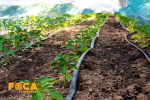 what is irrigation dripper tape 7