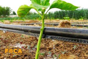 what is side sewed drip irrigation tape 07