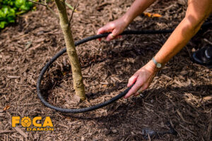 drip irrigation of trees and the required equipment 5