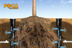 آبیاری زیرسطحی پسته