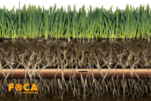 اجرای کامل آبیاری زیرسطحی درختان پسته در باغات