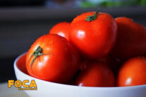 all steps of planting and growing tomatos 5