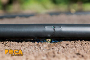 comparison of dripper tape with labyrinth tape 3