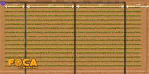 irrigation with tape using pe and pvc threaded pipe 2