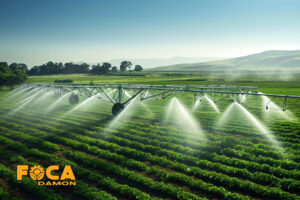 3 main methods of hay irrigation 1