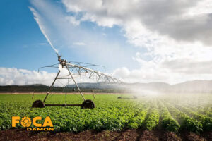 3 main methods of hay irrigation 4