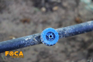 بررسی گرفتگی قطره چکان ها