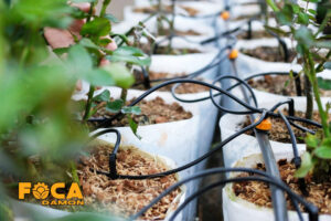 introducing a variety of modern irrigation methods 1