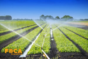 introducing a variety of modern irrigation methods 2