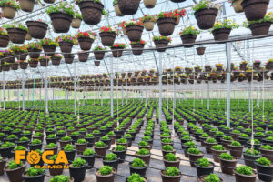 introducing a variety of modern irrigation methods 4