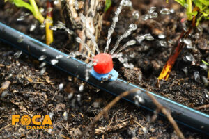 introducing a variety of modern irrigation methods 6