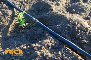 آموزش محاسبه میزان آب برای آبیاری گیاهان مختلف 1 محاسبه میزان آب آبیاری