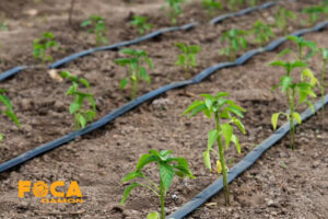 راهنمای خرید نوار تیپ