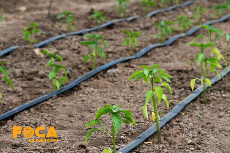 راهنمای خرید نوار تیپ