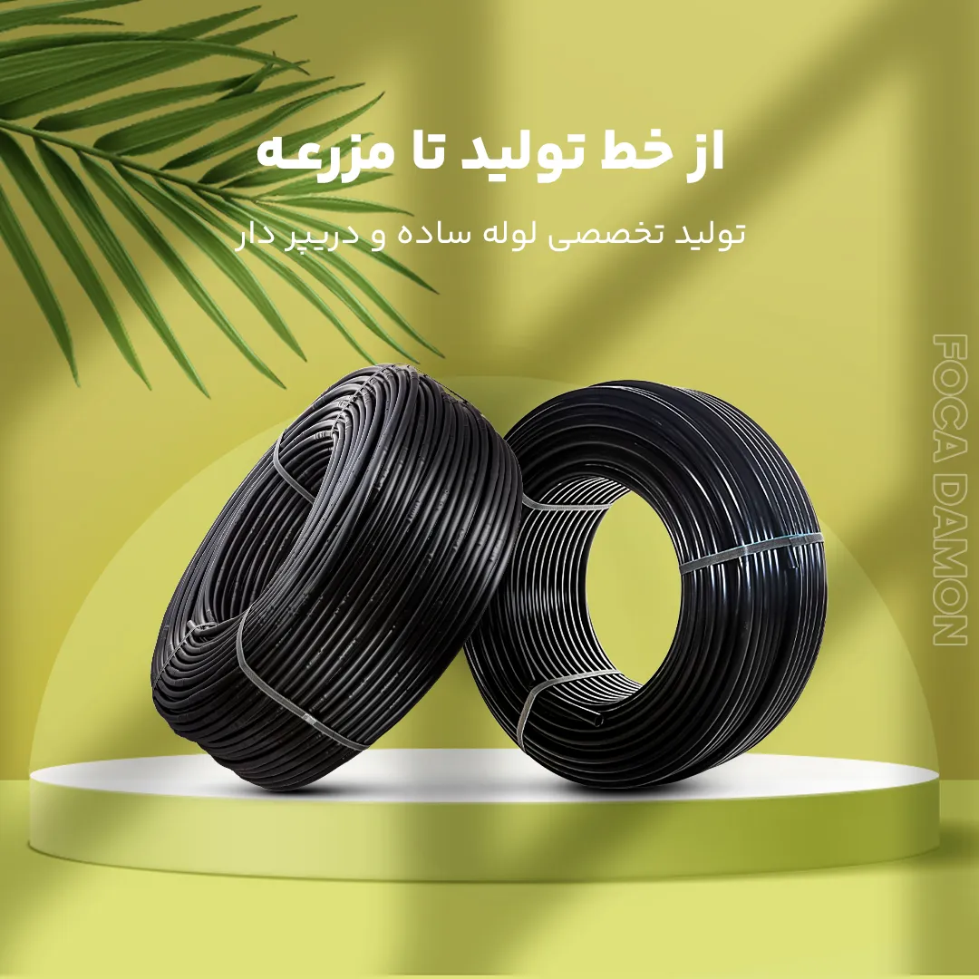 Foca Home Banner Mobile Pipes