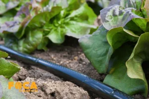 متراژ نوار تیپ برای یک هکتار