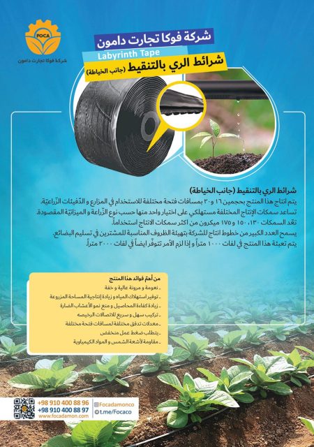 کاتالوگ فوکا تجارت دامون عربی صفحه 3