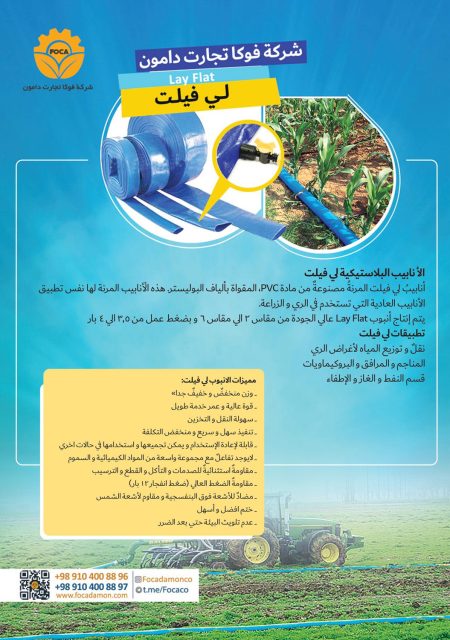 کاتالوگ فوکا تجارت دامون عربی صفحه 6