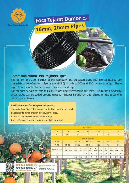 کاتالوگ فوکا تجارت دامون انگلیسی صفحه 1